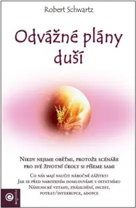 Odvážné plány duší - Robert Schwartz