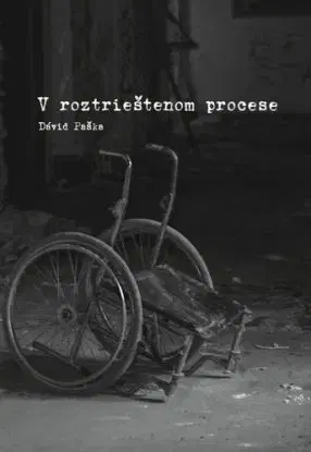 V roztrieštenom procese - Dávid Paška