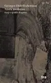 Ninfa modernaEsej o spadlé draperii - Georges Didi-Huberman, Josef Fulka