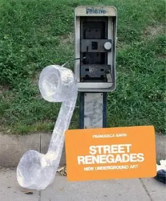 Street Renegades - Francesca Gavin