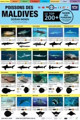 Maldives Guide Des Poissons - Rudie H Kuiter, Tim Godfrey