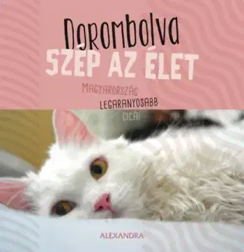 Dorombolva szép az élet - Magyarország legaranyosabb cicái - 365 gondolat