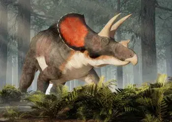 (B) 3D pohľadnica Triceratops