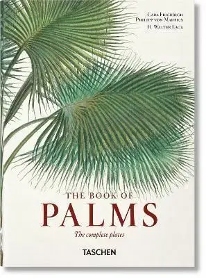 Martius. The Book of Palms. 40th Ed. - H. Walter Lack