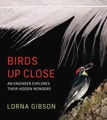 Birds Up Close - Lorna Gibson