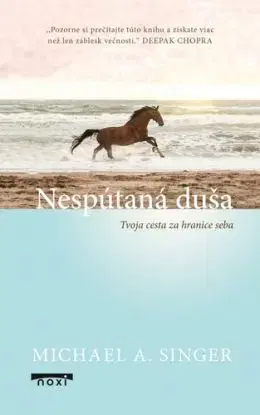 Nespútaná duša - Michael A. Singer