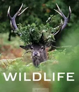 Wildlife