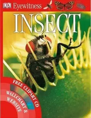 Insect (Eyewitness)