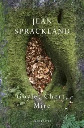 Goyle, Chert, Mire - Jean Sprackland