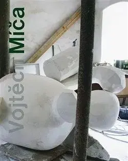 Vojtěch Míča