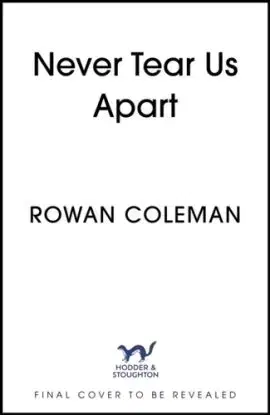Never Tear Us Apart - Rowan Coleman
