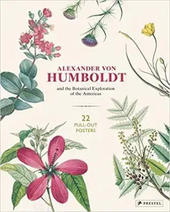 Alexander von Humboldt Botanical Illustrations - Otfried Baume