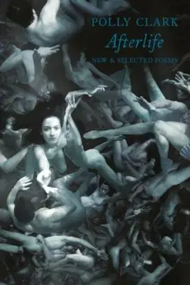 Afterlife - Polly Clark