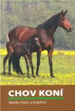 Chov koní - Marko Halo