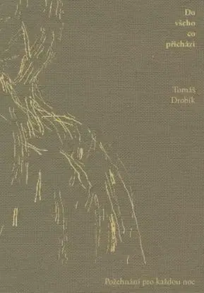 Do všeho co přichází - Tomáš Drobík, Jindra Viková