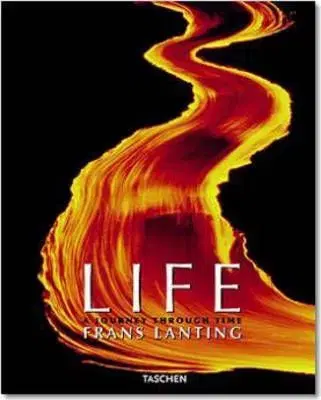 LIFE - A Journey Through Time