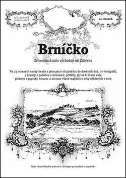 Brníčko - zřícenina hradu východně od Zábřehu - Rostislav Vojkovský