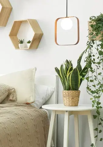 Závesná lampa TULA 1xG9 Candellux