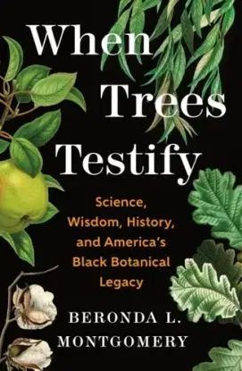 When Trees Testify - Beronda L. Montgomery