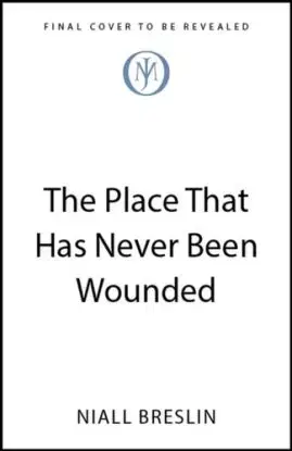 The Place That Has Never Been Wounded - Niall Breslin