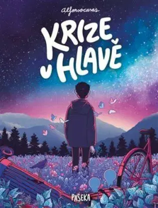 Krize v hlavě - Alfonso Casas