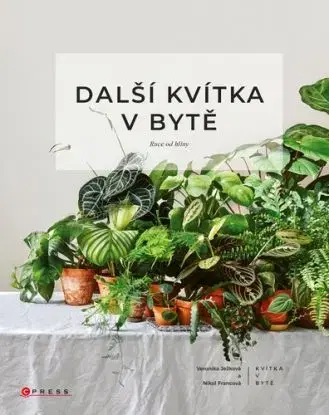 Další kvítka v bytě: Ruce od hlíny - Nikol Francová, Veronika Ježková