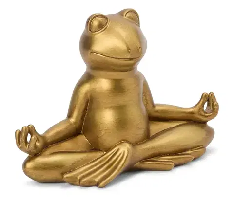 Šťastná žaba