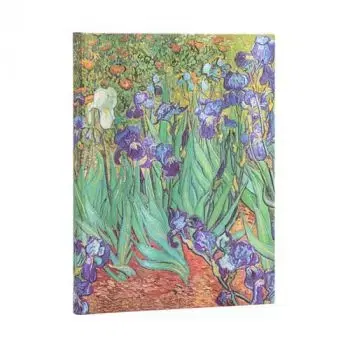 Zápisník Paperblanks Van Gogh Ultra Lined - Paperblanks