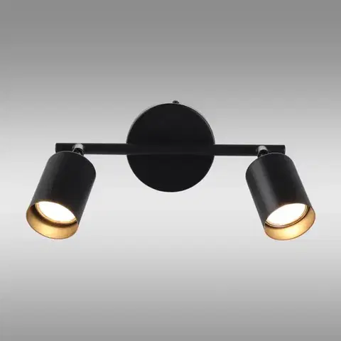 Stropné bodové svietidlo Ceres as-ceg102b Ls2