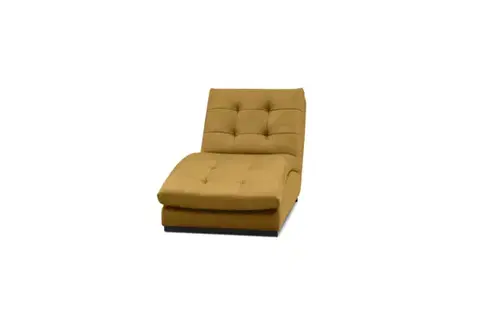 NABBI Donda leňoška horčicová