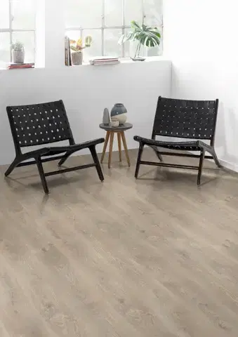 EGGER Basic 31 Dub belfort strieborný EL2637
