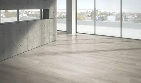 PARADOR Modular ONE Pinie rustikálna šedá štruktúra dreva 1730774