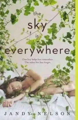 Sky is Everwhere - Jandy Nelson