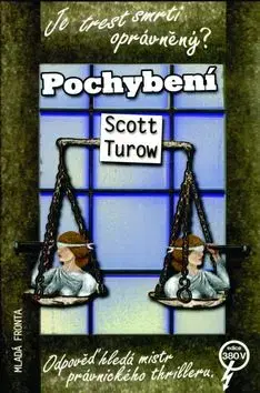 Pochybení - Scott Turow