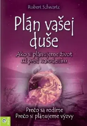 Plán vašej duše - Robert Schwartz
