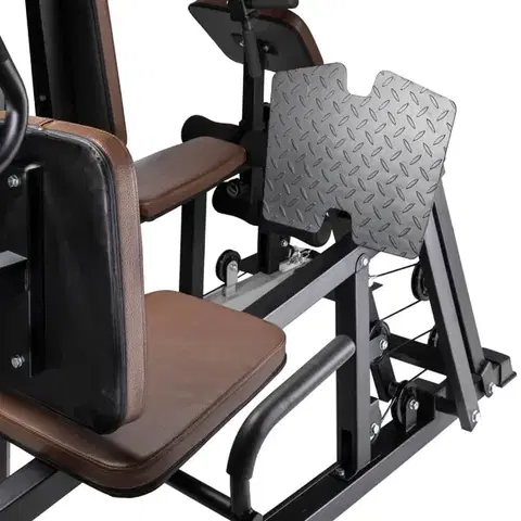 inSPORTline Profigym C300