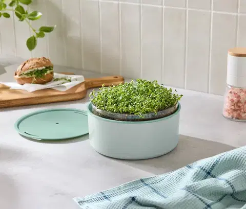 Súprava na pestovanie »Microgreens«