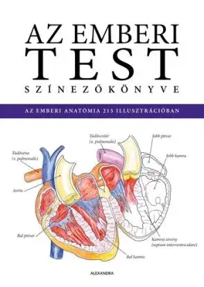 Az emberi test színezőkönyve
