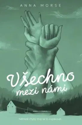 Všechno mezi námi - Anna Morse