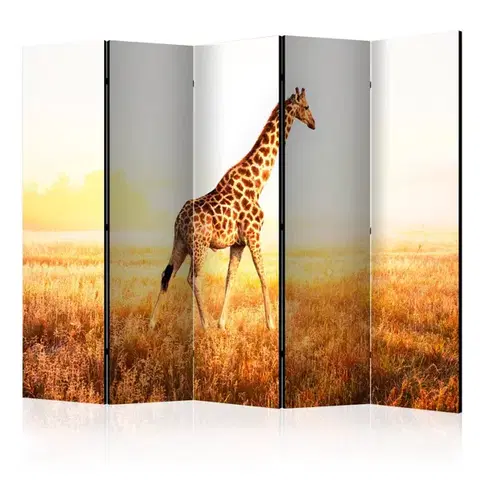 Paraván giraffe - walk Dekorhome