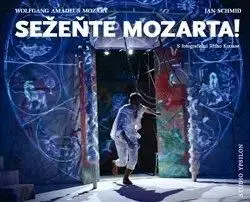 Sežeňte Mozarta! - Jiří Kottas, Jan Schmid
