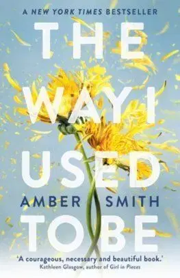 The Way I Used to Be - Amber Smith