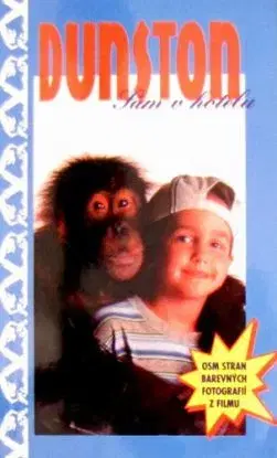 Sám v hotelu