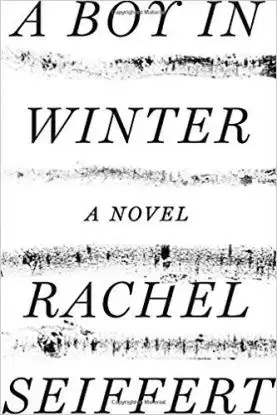 A Boy in Winter - Rachel Seiffert