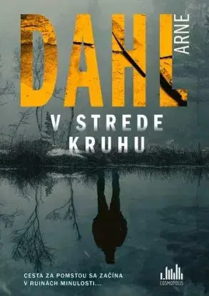 V strede kruhu - Arne Dahl