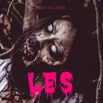 Les - Audiokniha CD - Jan Hlubek