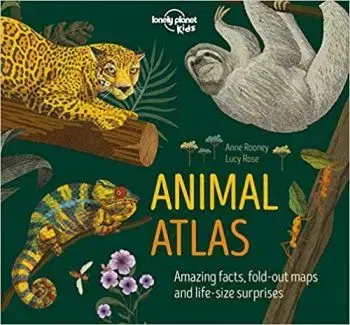Animal Atlas 1 - Anne Rooney