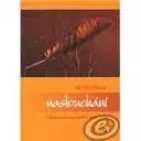 Naslouchání