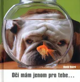 Oči mám jenom pro tebe - David Baird