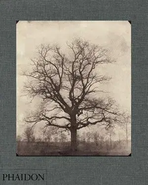 Wiliam Henry Fox Talbot - Geoffery Batchen
